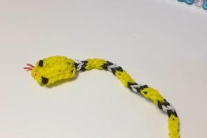 Jak tkát hada z gumových pásů pomocí fotografických a video lekcí