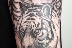 Tetování tygra Na předloktí se objevily obrázky draka a tygra